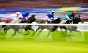What Does Scr Mean In Horse Racing