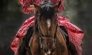 Wear Horse Riding
