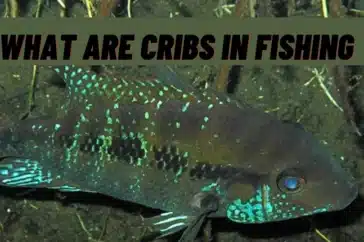 What Are Cribs In Fishing