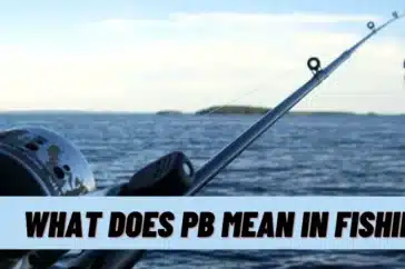 What Does PB Mean In Fishing