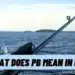 What Does PB Mean In Fishing