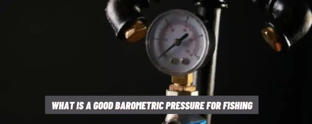 What Is A Good Barometric Pressure For Fishing