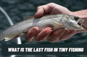 What Is The Last Fish In Tiny Fishing
