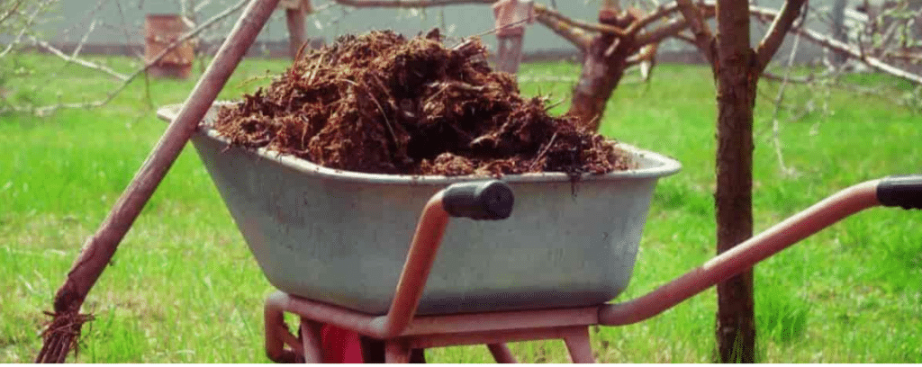 What Plants Don't Like Horse Manure