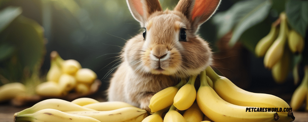 Can Rabbits Have Bananas