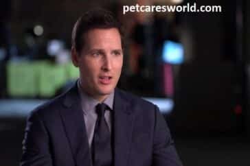 peter facinelli movies and tv shows