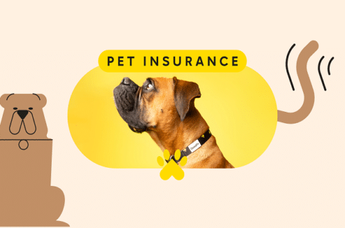 pet insurance