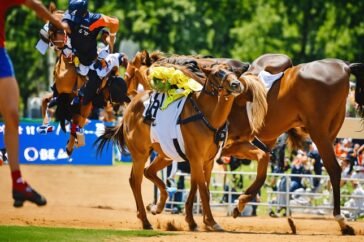 pronostic quintÃ© demain le boss du turf