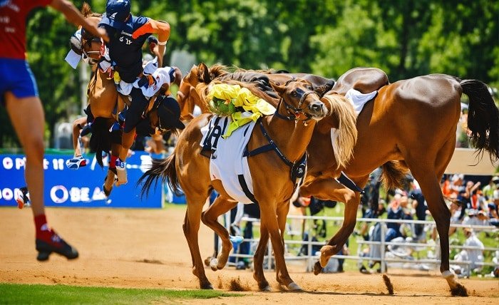 pronostic quintÃ© demain le boss du turf