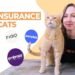 best pet insurance