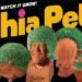 chia pet