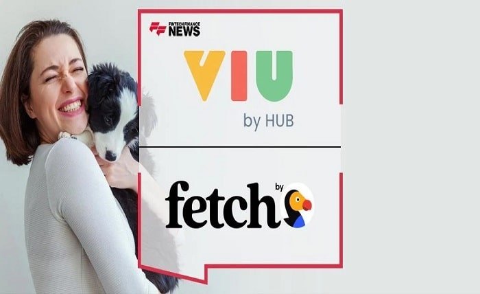 fetch pet insurance