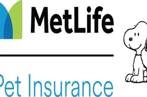 metlife pet insurance