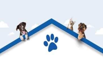 nationwide pet insurance login