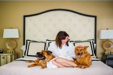 pet friendly hotels