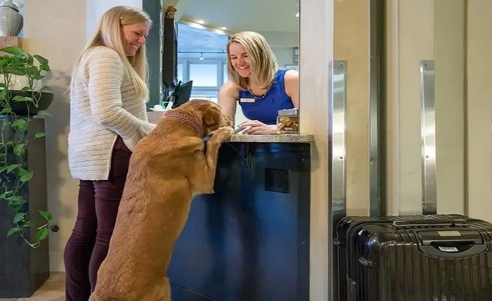 pet friendly hotels near me