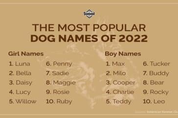 pet names