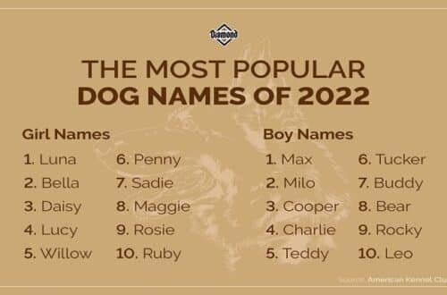 pet names