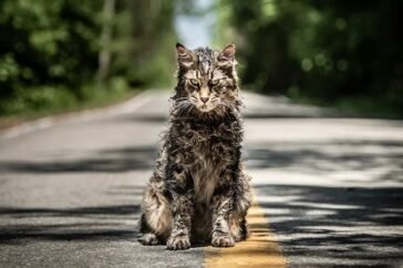 pet sematary