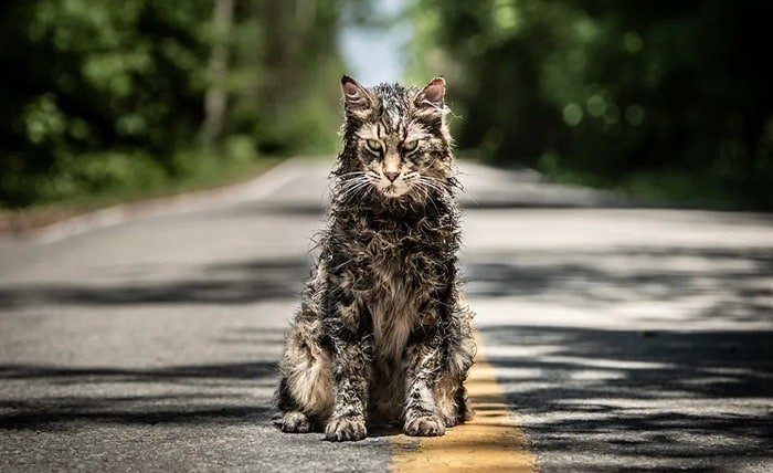 pet sematary