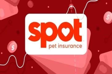 spot pet insurance