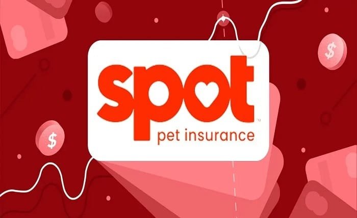 spot pet insurance