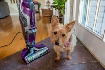 bissell crosswave pet pro