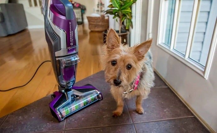 bissell crosswave pet pro