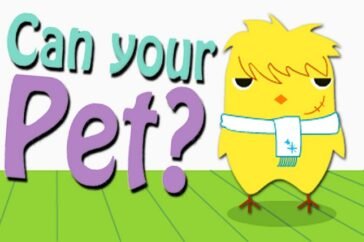 can your pet