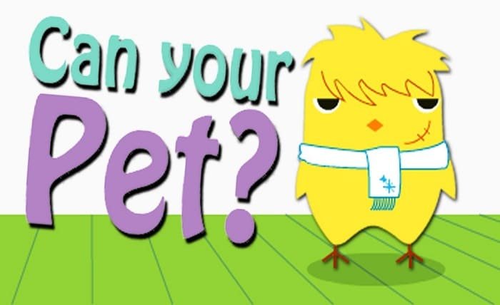 can your pet