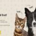 figo pet insurance