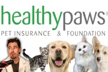 healthy paws pet insurance