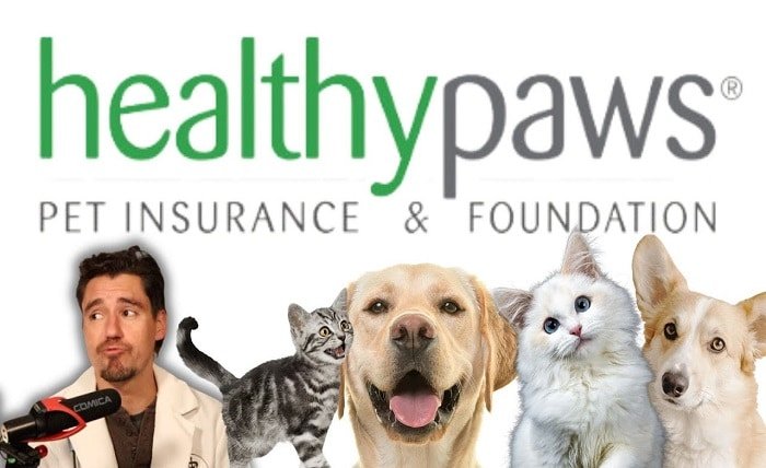 healthy paws pet insurance