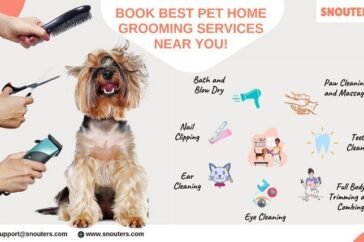 pet groomers near me