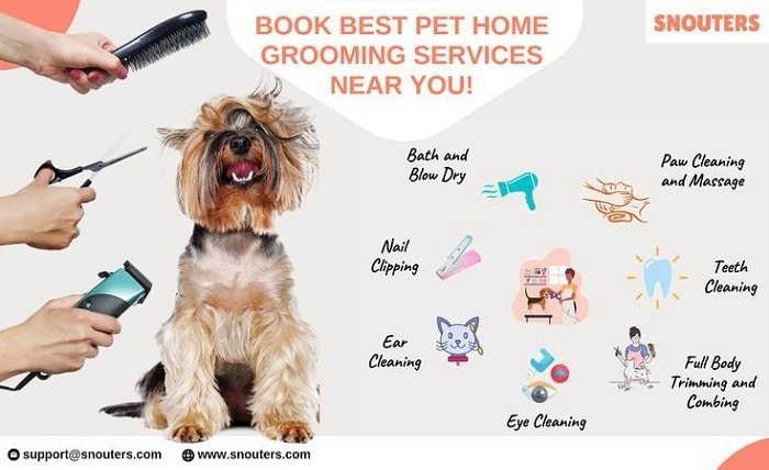 pet groomers near me