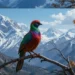 Discover the Majestic Names of Birds of Kashmir: India's Avian Paradise