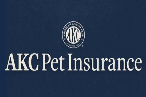 akc pet insurance