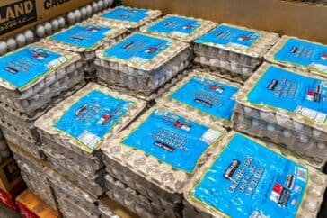 costco eggs