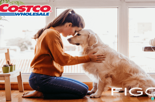 costco pet insurance