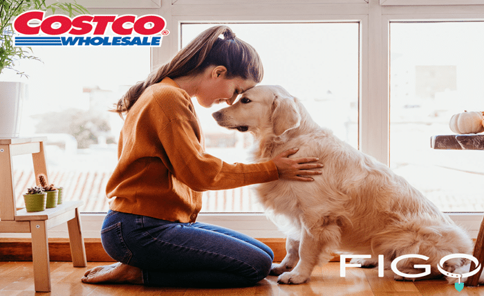 costco pet insurance