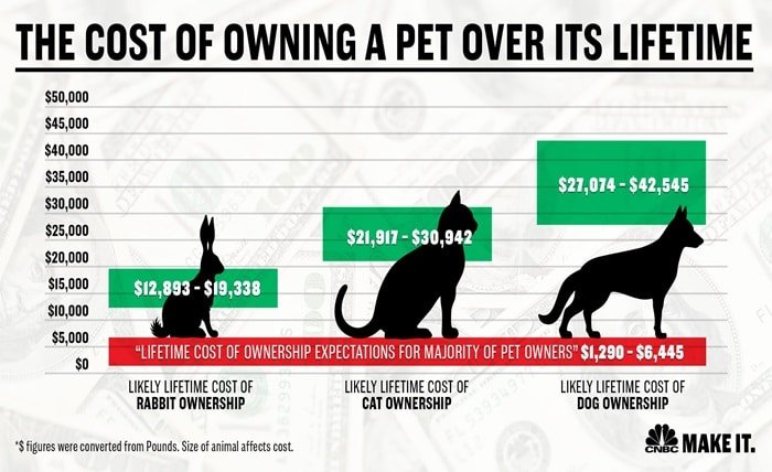 how much is pet insurance