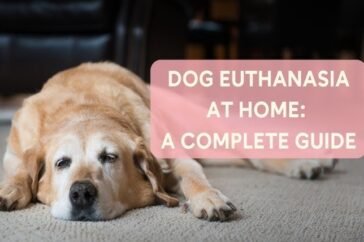 no cost pet euthanasia near me