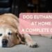 no cost pet euthanasia near me