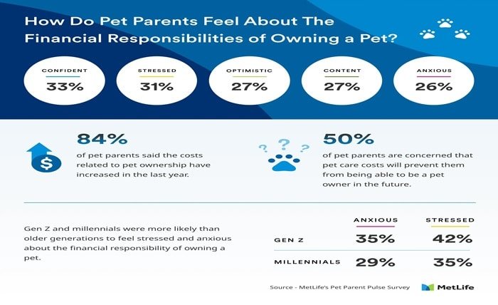 pet insurance cost